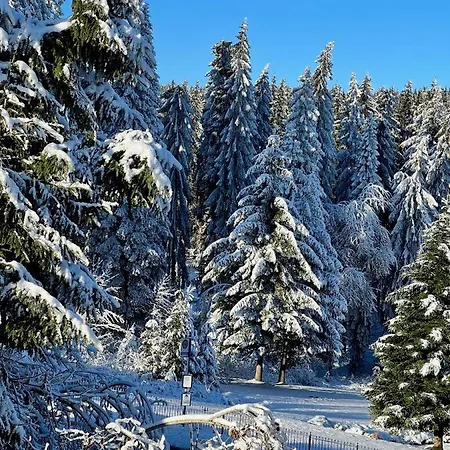 Appartement Winterspot