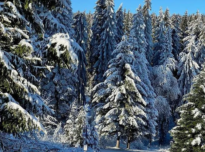 Lägenhet Winterspot